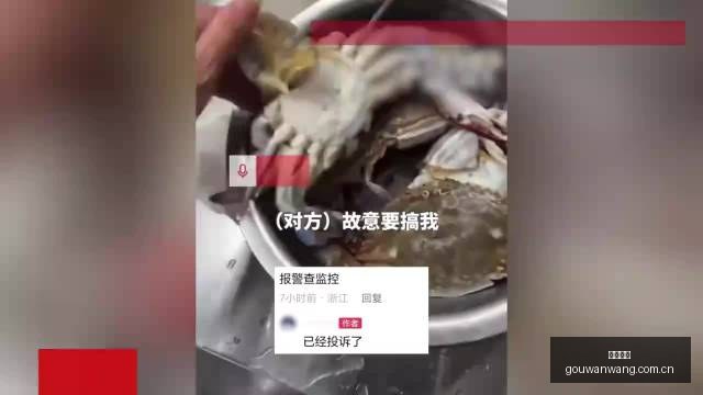 领航者手册,为民造福的,政绩之路详,狗万官网,体育赛事平台,足球赛事资讯,篮球赛事信息,赛事数据